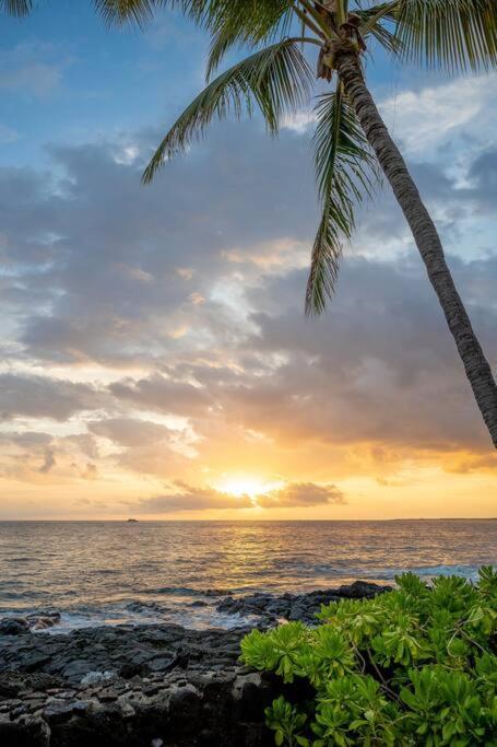 Hébergement de vacances Unit C - Sandy Toes Getaway In Kona